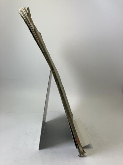 Die Wagogo. Ethnographische Skizze eines ostafrikanischen Bantustammes. Mit 103 Abbildungen im Text. (photo 2)
