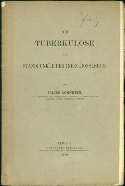 Die Tuberkulose vom Standpunkte der Infectionslehre