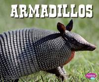 Armadillos by Steve Potts - 2012