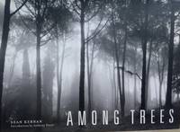 image of Among Trees