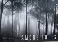 Among Trees