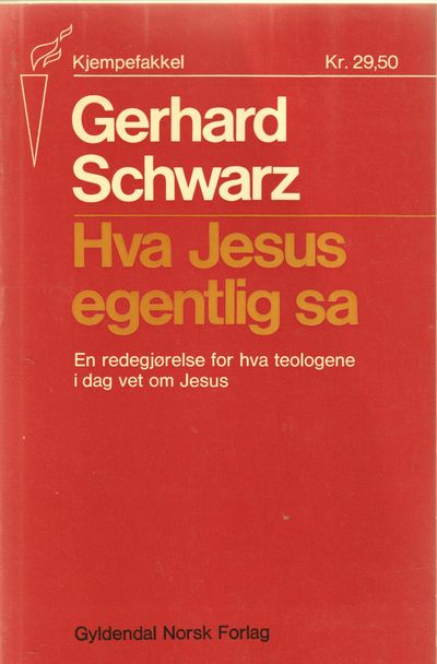 Hva Jesus egentlig sa