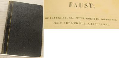 Faust. En själshistoria efter Goethes sorgespel,…