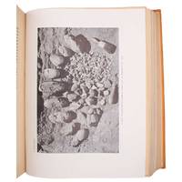 Natural History of Central Asia. 