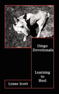 Dingo Devotionals: Learning to Heel