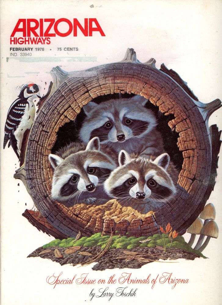 ARIZONA HIGHWAYS 1976年 1年分 アリゾナハイウェイ 洋書 Arizona Highways July 1976 Navajo Hopi History Culture