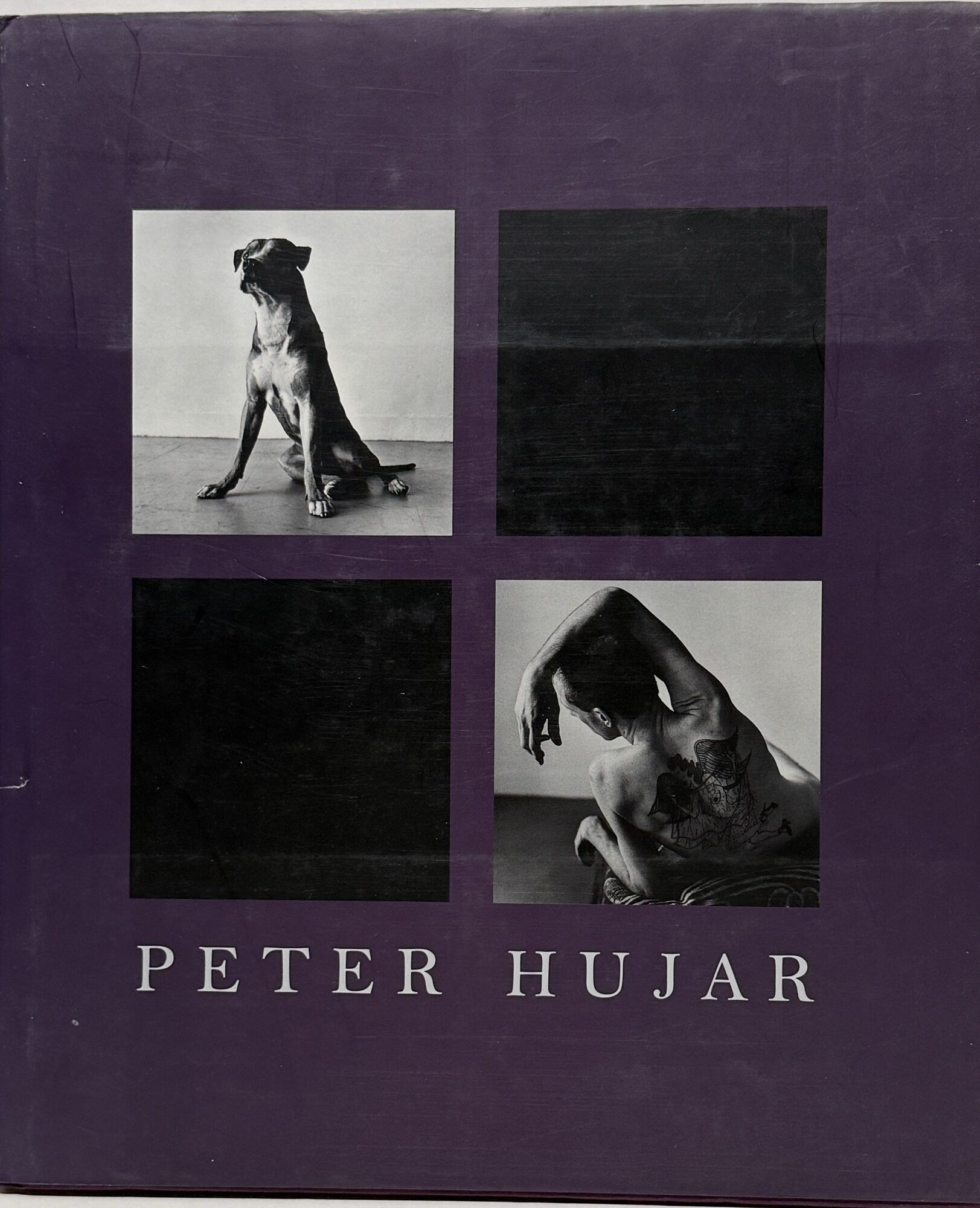 【Peter Hujar: Animals and Nudes】 Animals and Nudes by Peter Hujar; Introduction by Klaus Kertess