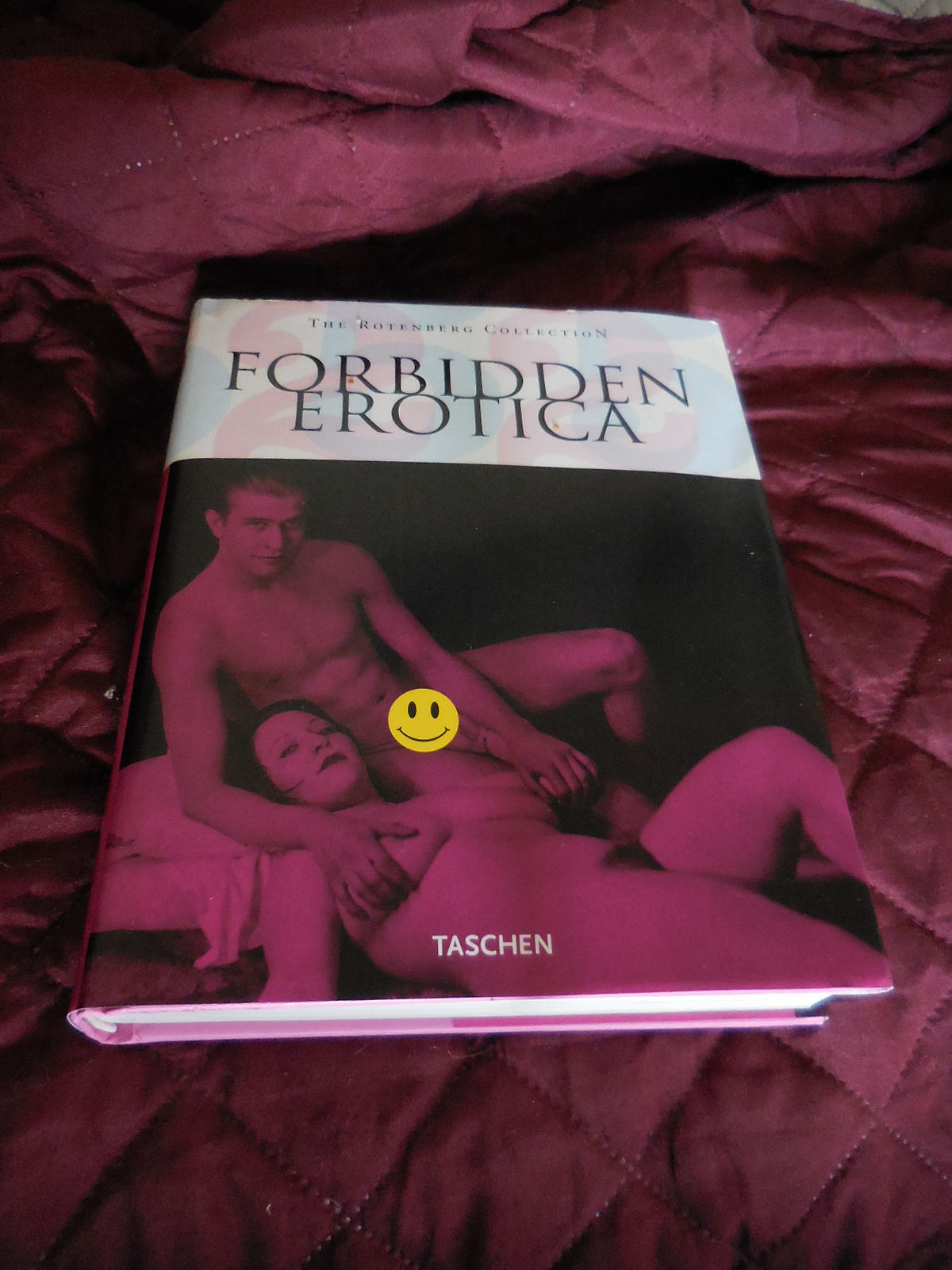 Forbidden Erotica