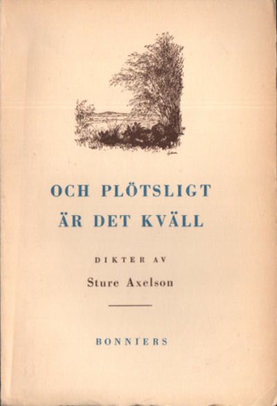 OCH PLÖTSLIGT ÄR DET KVÄLL.
