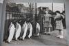 Album of Animal Photographs, Circa 1930