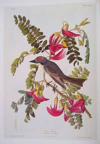 Birds of America: The Complete Collection of 435 Illustrations from the Most Famous Bird Book in the World by Audubon, John James - 1997