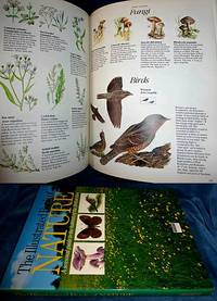 cover of THE ILLUSTRATED BOOK OF NATURE A seasonal guide to the habitats of the British Isles
