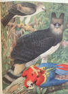 A Monograph of the birds of prey (Order Accipitres)