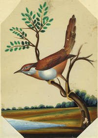 Bird Painting from India on Mica