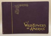 Wild Flowers of America: Botanical Fine Art Weekly