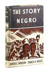 The Story of the Negro Retold