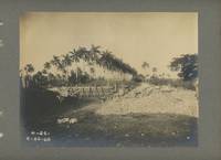 Photo Album Documenting the Havana Central Railroad Company Building Its Line from Havana to Guanajay in 1906