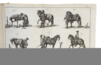 Abhandlung von der Cavalerie. 2 Bde.