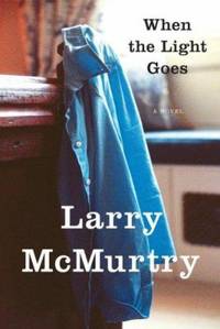 When the Light Goes : A Novel