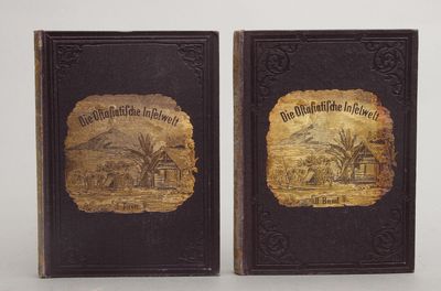 Die Ostasiatische Inselwelt. Land und Leute von…