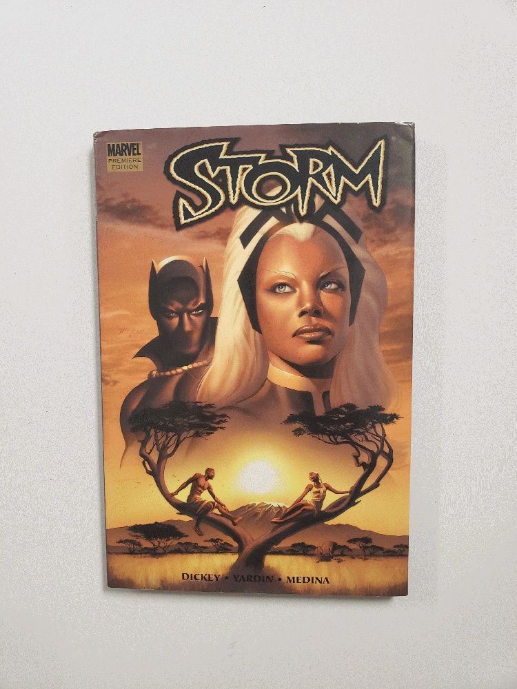 MARVEL STORM エリック・ジェローム・ディッキー 洋書 MARVEL STORM エリック・ジェローム・ディッキー 洋書 【公式通販】