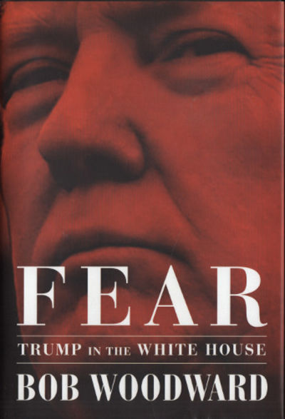 FEAR. Trump in the White House.