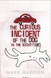 The Curious Incident Of the Dog In the Night-Time