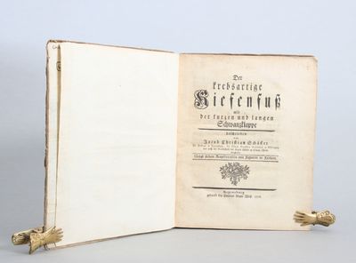 Der krebsartige Kiefenfuss mit der kurzen und…