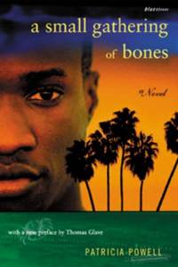 A Small Gathering Of Bones