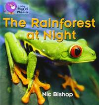 The Rainforest at Night: Meet the animals and insects that live in the rainforest (Collins Big...