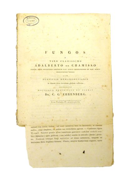 Fungos a viro clarissimo Adalberto de Chamisso…