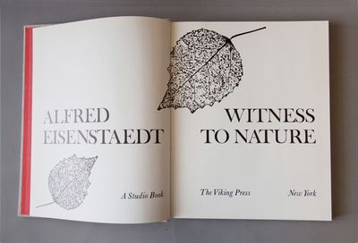 Witness to Nature