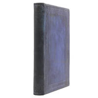 Outlines of the Chief Camp Diseases of the United States Armies as observed during the present war