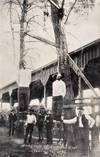 Three photographic postcards: 2 of lynchings (one identified) and a third of gallows
