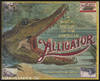 A SOCIAL HISTORY OF THE AMERICAN ALLIGATOR: The Earth Trembles With His Thunder