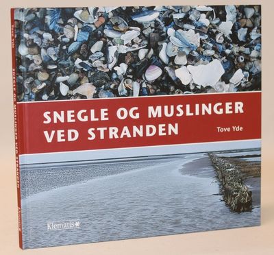 Snegle og muslinger ved stranden.