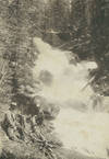 Pacific Northwest: set of 3 outdoor photographs