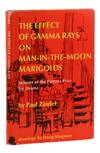 The Effect of Gamma Rays on Man-in-the-Moon Marigolds