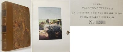 Hägrar och storkar. En bok om skånska fåglar.