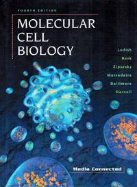 MOLECULAR CELL BIOLOGY by Lodish, Harvey & Arnold Berk