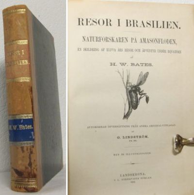 Resor i Brasilien. Naturforskaren på…