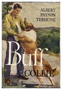 Buff: A Collie