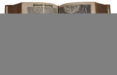 Biblia Det er Den gantske Hellige Scrifft paa Danske igien offuerseet oc Prentet effter vor allernaadigste Herris oc Kongis K. Christian den IV. Befaling. Mett Register/ alle D. Lutheri Fortaler ghans Udledning i Brædden oc Viti Theodori Summarier. Cu... - [THE CHRISTIAN IV BIBLE - THE THIRD AND LAST OF THE GREAT DANISH FOLIO BIBLES] (photo 8)