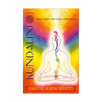 Kundalini, Evolution, and Enlightenment (Omega Book (New York, N.Y.).)