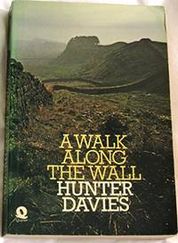 Walk Along the Wall by Davies, Hunter