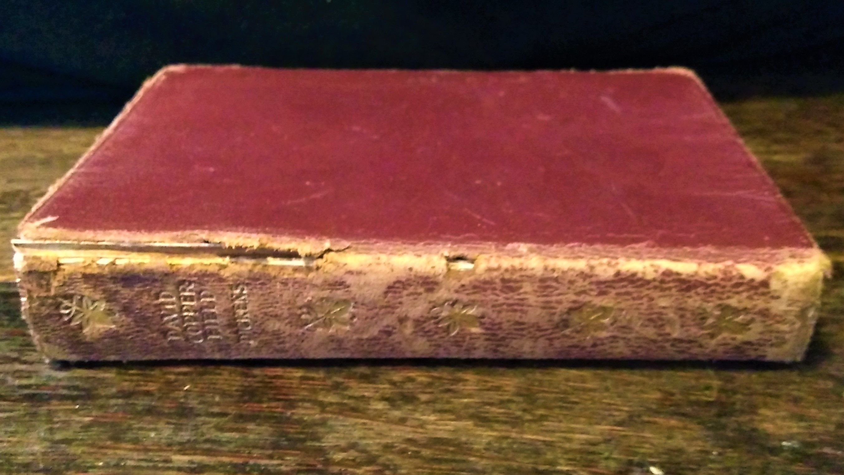 David copperfield summary pdf picture