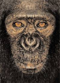 James &amp; Other Apes by Jane Goodall