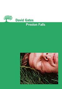 image of Preston Falls