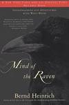 Mind Of the Raven