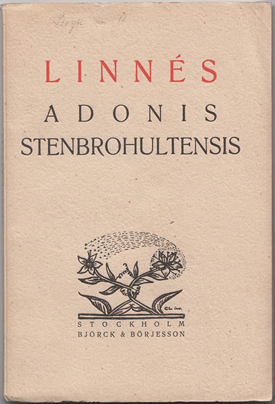 Adonis Stenbrohultensis. Utgiven av Felix Bryx.